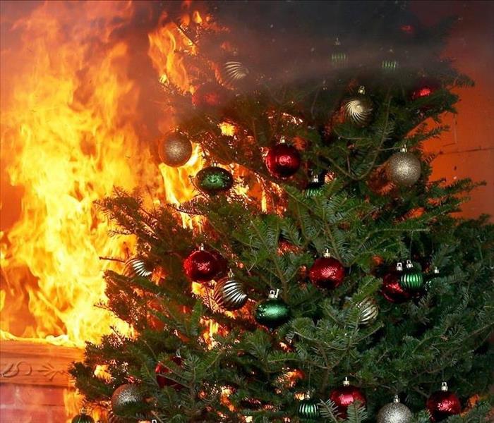 Christmas tree lights on fire