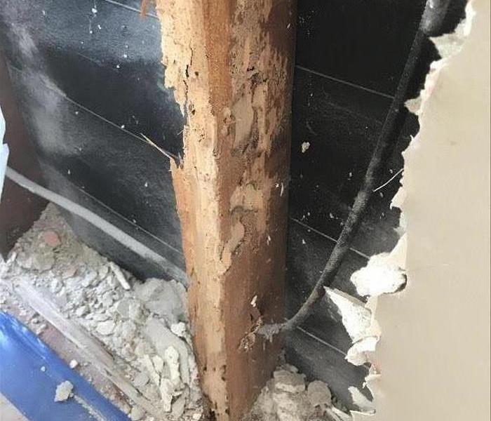 2x4 affected by termites.