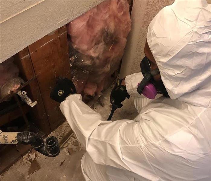 One of our Crew Chiefs cleaning out a mold infested bathroom.
